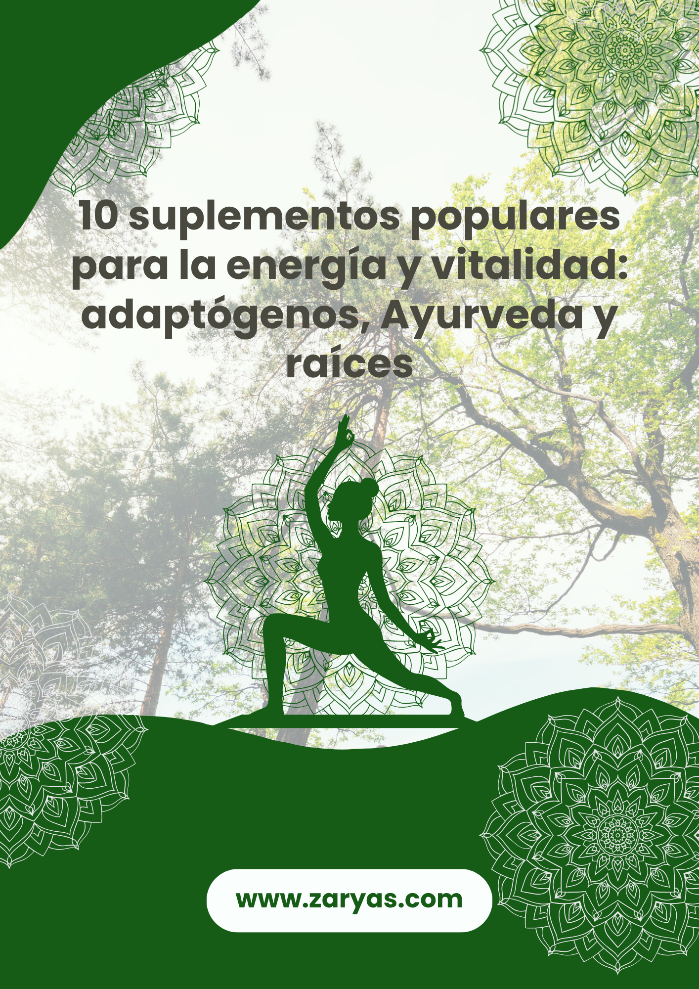 energia y vitalidad ayurvedica ayurveda raices adaptogenos zaryas madrid herbolario maca ginseng, ashwagandha, rhodiola